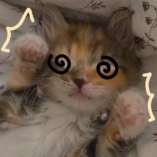 😵‍💫 emoji Котики для @Mr_myav Telegram sticker 10 of 40
