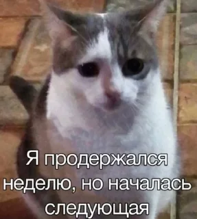 🌟 emoji человек устал Telegram sticker 21 of 113
