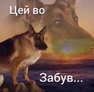 🥹 emoji Чому не державною? Сука!? Telegram sticker 2 of 120