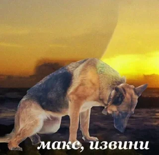 Sticker from максим трахньи менья