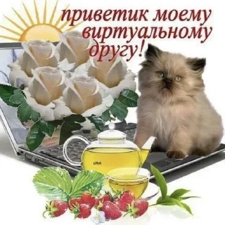 я кинню какёина нориаки :: @raikkirri sticker 1