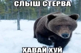 🌟 emoji чозастикеры Telegram sticker 18 of 94