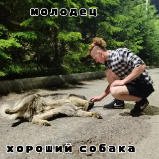 Sticker from Хорошо