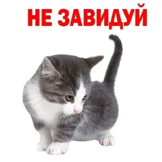 🙄 emoji хорошо Telegram sticker 7 of 120
