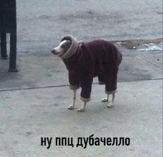 Sticker from Хорошо жить на свете
