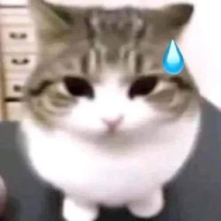 🌟 emoji чозастикеры Telegram sticker 21 of 94