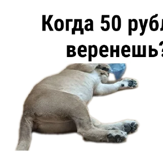 Sticker from С днюхой