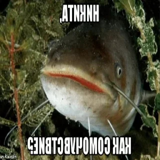 Sticker from Легенды подарившие нам детство! by @djarbuz1337
