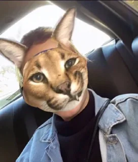 😼 emoji легенда, подарила нам детство. Telegram sticker 17 of 120