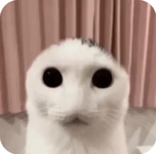 🫢 emoji by lenaka Telegram sticker 2 of 7