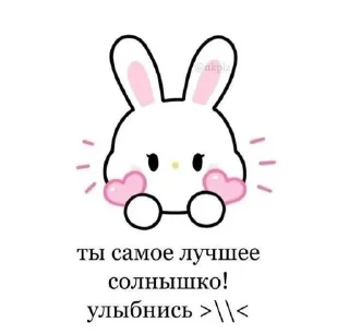 от тайного поклонника🙇🏼‍♀️ sticker 2