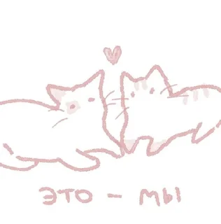 от тайного поклонника🙇🏼‍♀️ sticker 3