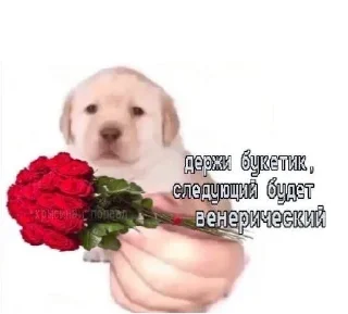 💐 emoji уебанские открытки - @postpozhelaniya Telegram sticker 8 of 29
