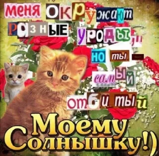 😘 emoji уебанские открытки - @postpozhelaniya Telegram sticker 18 of 29
