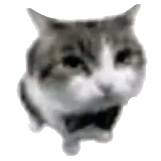 Sticker from Чо за фигня