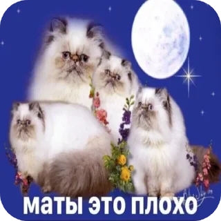 👎 emoji попа Telegram sticker 10 of 109