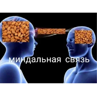 👉 emoji попа Telegram sticker 19 of 109