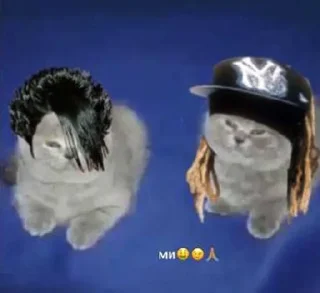🌟 emoji токийские niggaдяи Telegram sticker 7 of 41