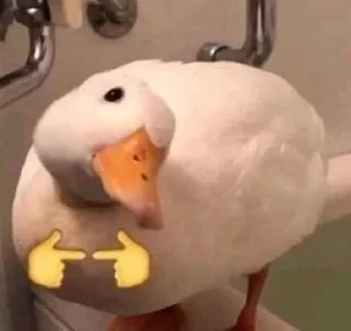 👉 emoji Животные хих Telegram sticker 15 of 29