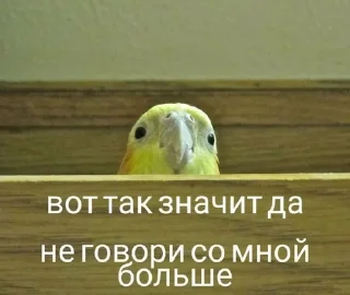 🤡 emoji Животные хих Telegram sticker 10 of 29