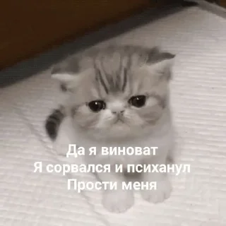 😪 emoji Животные хих Telegram sticker 17 of 29