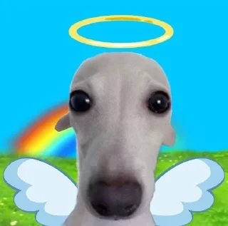 🐶 emoji Roblox_queen_karolina Telegram sticker 13 of 14