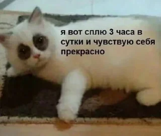 Sticker from мусорка