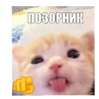🤪 emoji <3 Telegram sticker 10 of 19