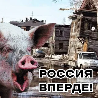 🇷🇺 emoji 🥰🥰🥰 — @stckrRobot Telegram sticker 19 of 40