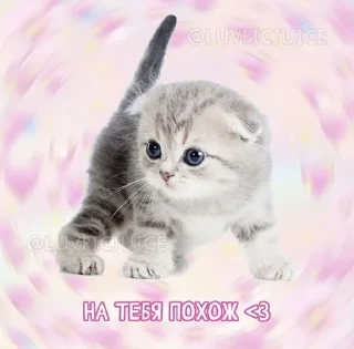 🌟 emoji Loveyou❤ Telegram sticker 15 of 120