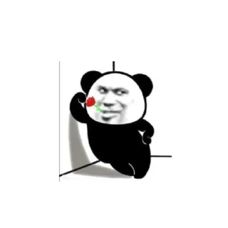 Sticker from panda