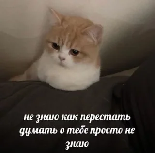 Sticker from для любимых!! <3