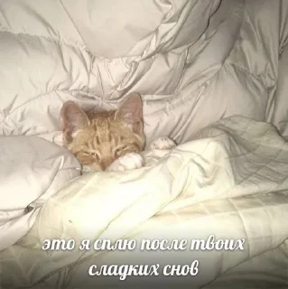 Sticker from для любимых!! <3