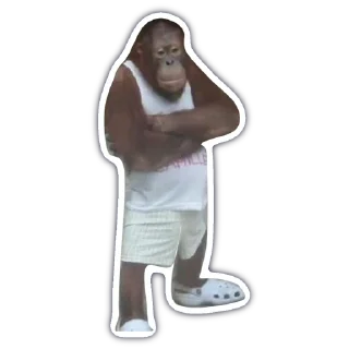 Sticker from monkey
