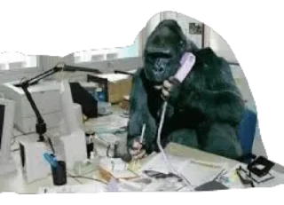 Sticker from Monkey business