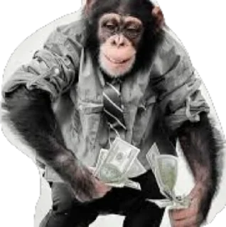Sticker from Monkey business