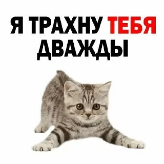 🙊 emoji ням Telegram sticker 12 of 23
