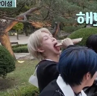 Sticker from stray kids memes @dypxhfi .