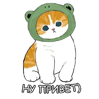 Sticker from котики :: @mzxwzq
