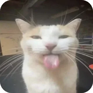 😜 emoji かわいい猫  @Kskskzss Telegram sticker 9 of 43