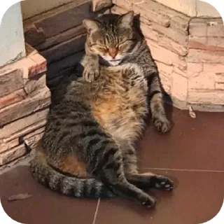 Sticker from Бибус