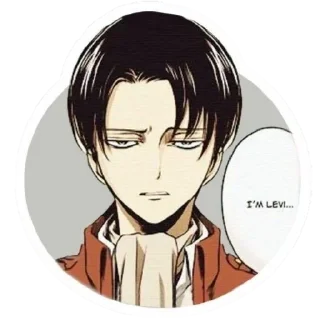 Sticker from Levi Ackerman