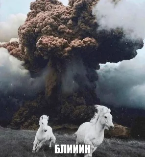 Sticker from АУЕ