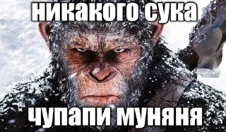 Sticker from АУЕ