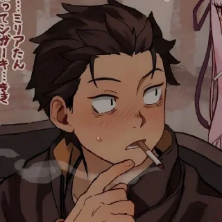 Sticker from Subaru