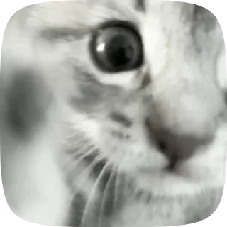 🤬 emoji больше стиков @poshlstiker Telegram sticker 22 of 45