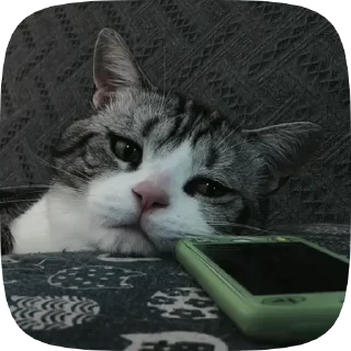 😓 emoji больше стиков @poshlstiker Telegram sticker 13 of 45