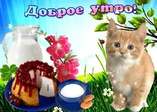 Sticker from утро и ночь
