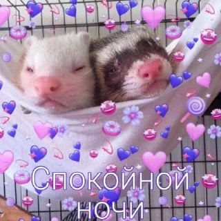 Sticker from 🥰