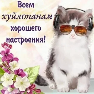 😎 emoji поздравляшки Telegram sticker 4 of 32